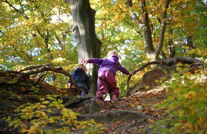 Réinventons la forêt-solution pour le climat et la société