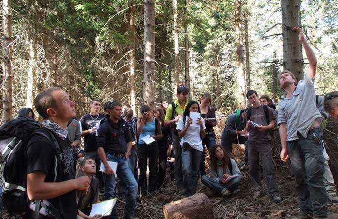 Chaque année, plus de 300 jeunes en France obtiennent le brevet de technicien supérieur agricole (BTSA) option «gestion forestière»