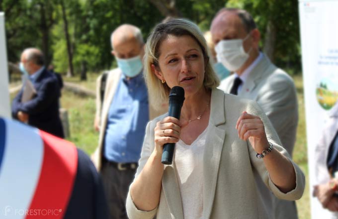 La ministre Barbara Pompili, lors de sa visite en forêt de Fontainebleau, début juillet 2020