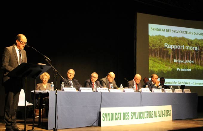 «Nous allons doubler la production du massif des Landes de Gascogne» (Bruno Lafon, Sylviculteurs du Sud-Ouest)