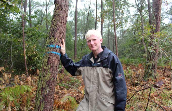 Néosylva lève deux millions d’euros pour le renouvellement des forêts