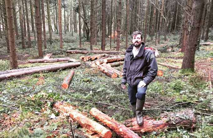 EcoTree lève 1,2 million d’euros pour financer le reboisement avec la vente d’arbres par anticipation