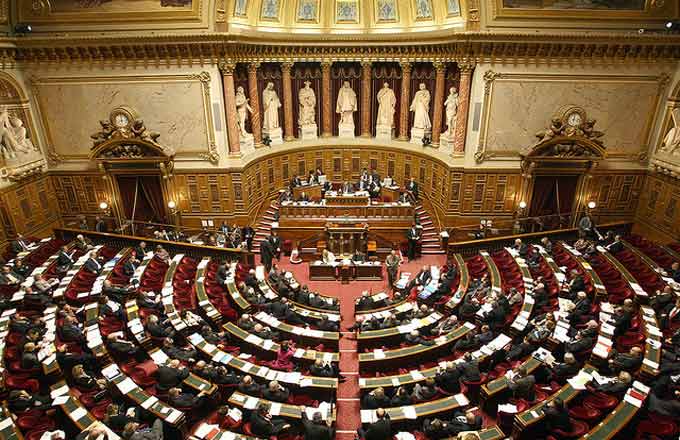 Au Sénat, le groupe forêt-bois désigne sa présidente et ses vice-présidents