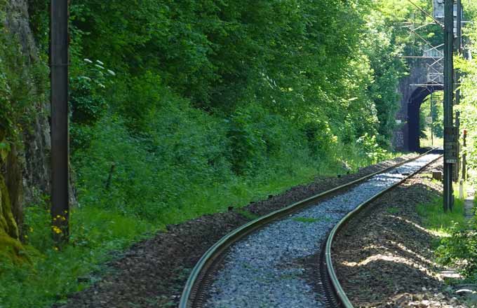 Condamné pour atteinte à la biodiversité, SNCF Réseau fait valoir une nouvelle approche de la végétation