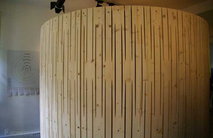 Panneau prototype en bois lamellé-croisé courbe cintré à froid