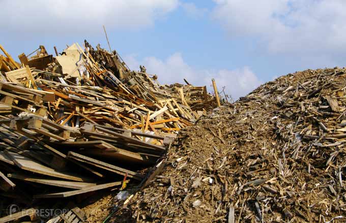 Déchets de bois