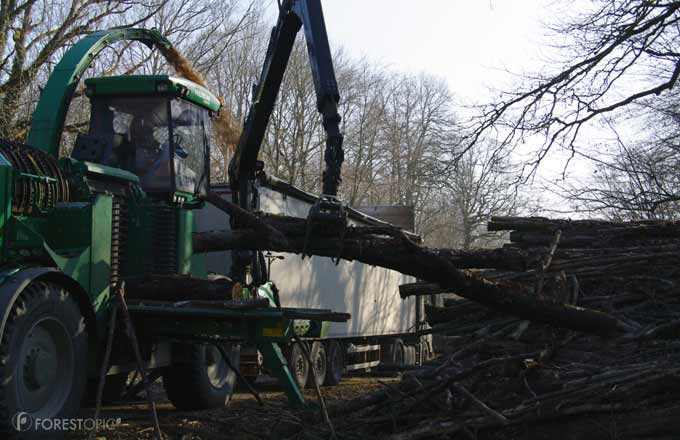 Broyeur préparant le bois énergie, en forêt de Cîteaux, Côte-d’Or