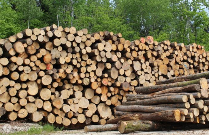 Bois énergie (crédit photo: CC/Forestopic)