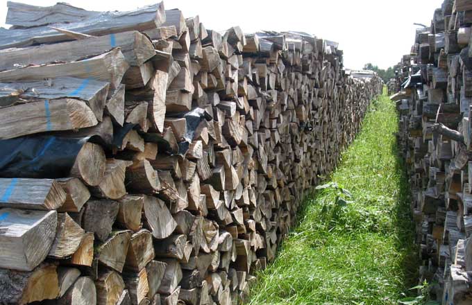 Le bois énergie, une fois sec, permet de limiter les émissions de polluants (crédit photo : Fibois)