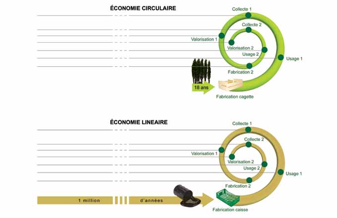 Schéma sur l’économie circulaire de la cagette (crédit: SIEL 2014)