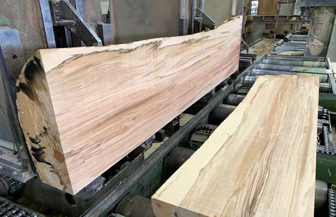 Grumes de hêtre: la vente du bois par contractualisation gagne en volume