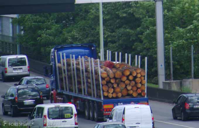 La récolte de bois doit croître de plus de 30 % à l’aune du programme national forêt-bois (crédit photo: CC/Forestopic)