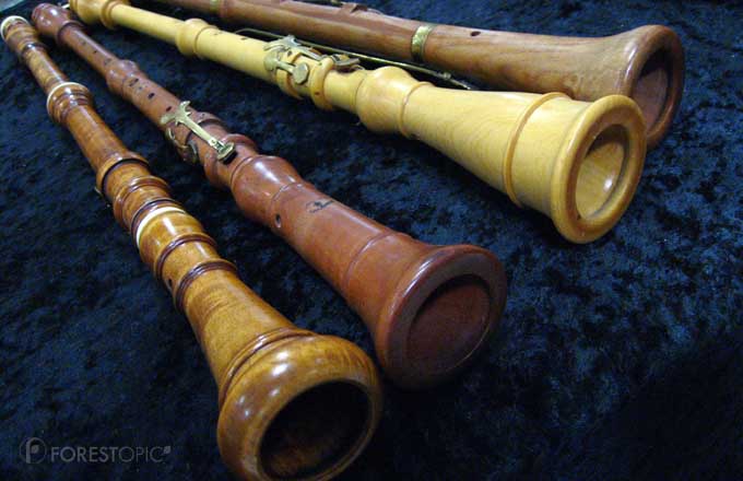 instrument de musique bois bébé