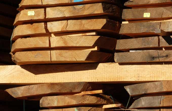 Le marché du bois en alerte