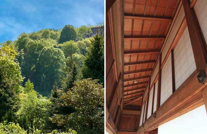 Gestion forestière dans le Loir-et-Cher (crédit photo: CC/Forestopic)