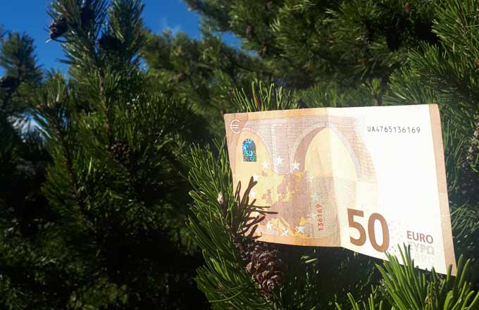 Comment engager une politique financière volontariste en faveur du secteur forestier en Europe