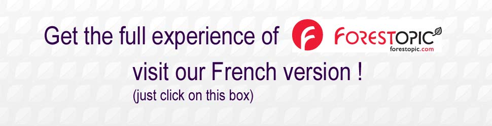 Get the full experience of Forestopic