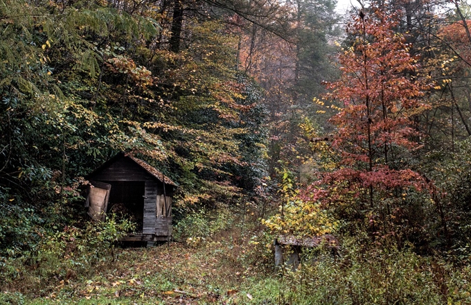 Foret-cabane