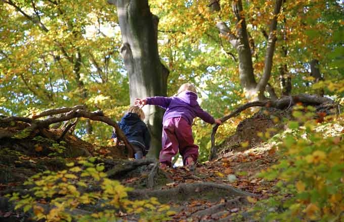 foret-loisirs-accueil-public-enfants