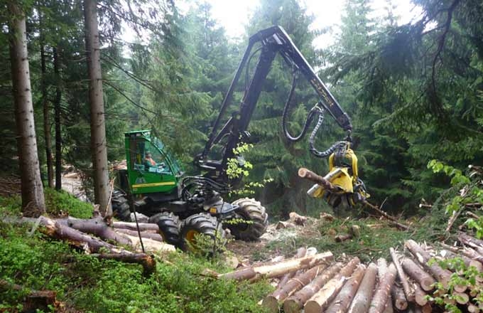 Foret-travaux-forestiers-Abatteuse-FNEDT